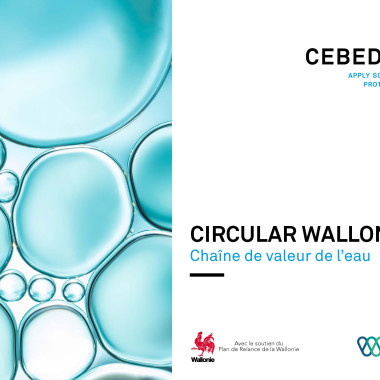 Circular Wallonia