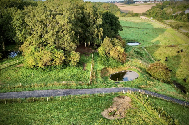 Contributions of agriculture to hydrological resilience