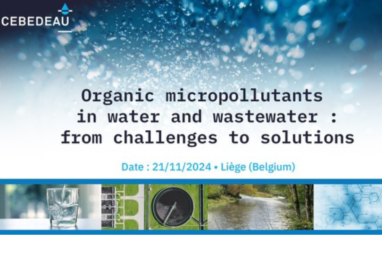 Micropolluants organiques dans l'eau : des enjeux aux solutions