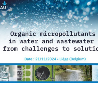 Micropolluants organiques dans l'eau : des enjeux aux solutions