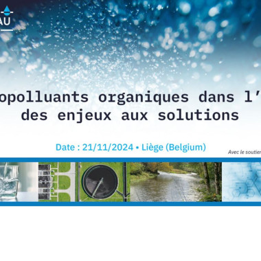 Organic micropollutants in water: from challenges to solutions